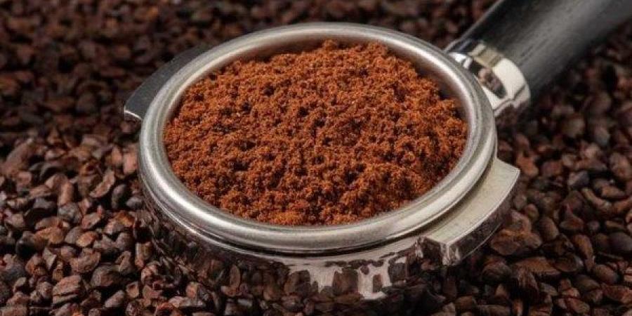 الغرف التجارية: أسعار البن في مصر ثابتة رغم انخفاضها 20% عالميا منذ فترة - الكويت الاخباري