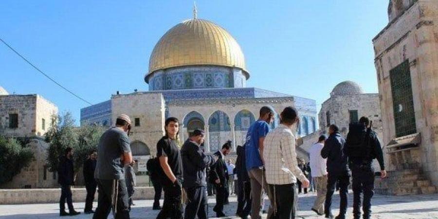 مستوطنون إسرائيليون يقتحمون باحات المسجد الأقصى وسط حماية شرطة الاحتلال - الكويت الاخباري