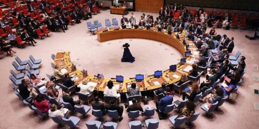 خبير: خطاب مندوب مصر بمجلس الأمن حمل رسالة ترفض ازدواجية المعايير - الكويت الاخباري