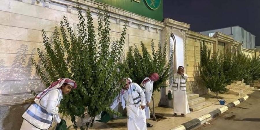 مكتب بيئة الخرمة يعزز الاستدامة الخضراء - الكويت الاخباري