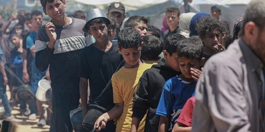 أيرلندا: ما يحدث في غزة غير مقبول إنسانيا ويجب أن يكون لأوروبا موقف - الكويت الاخباري