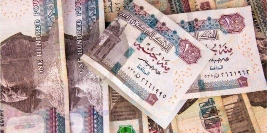 أفضل وجهة للاستثمار في مصر 2025.. شهادات الادخار أم أذون الخزانة؟ - الكويت الاخباري