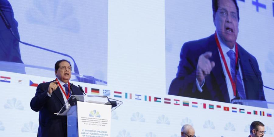 مصر رئيسا لبرلمان الاتحاد من أجل المتوسط - الكويت الاخباري