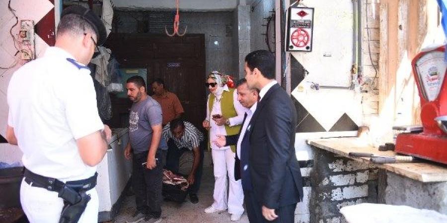 لحوم فاسدة.. غلق وتشميع محل جزارة في مرسى مطروح - الكويت الاخباري