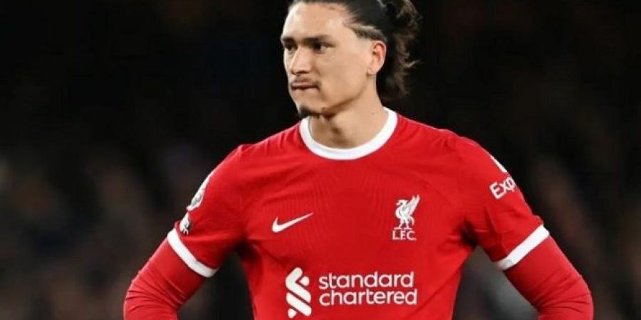 ليفربول يُعرقل مفاوضات نابولي مع نونيز #ليفربول #نونيز #نابولي - الكويت الاخباري
