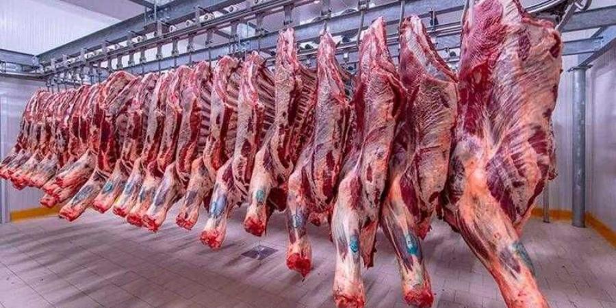 أسعار اللحوم الحمراء اليوم الثلاثاء - الكويت الاخباري