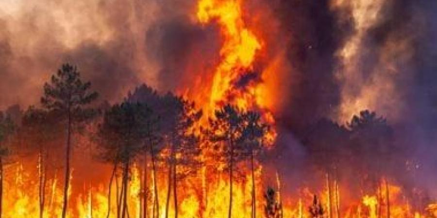 قمر صناعى جديد يراقب الأرض كل 20 دقيقة لرصد حرائق الغابات قبل اندلاعها - الكويت الاخباري