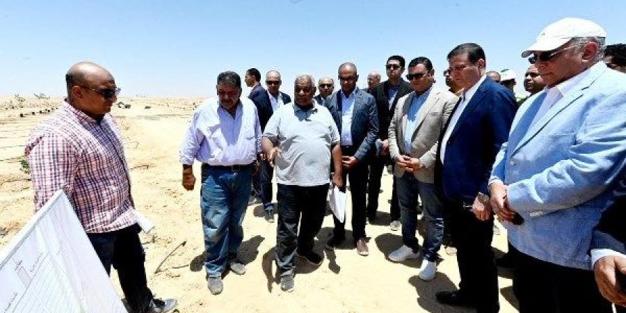 الزراعة: نجاح تجربة تحلية مياه البحر بالعلمين يفتح آفاقًا جديدة للاستثمار - الكويت الاخباري