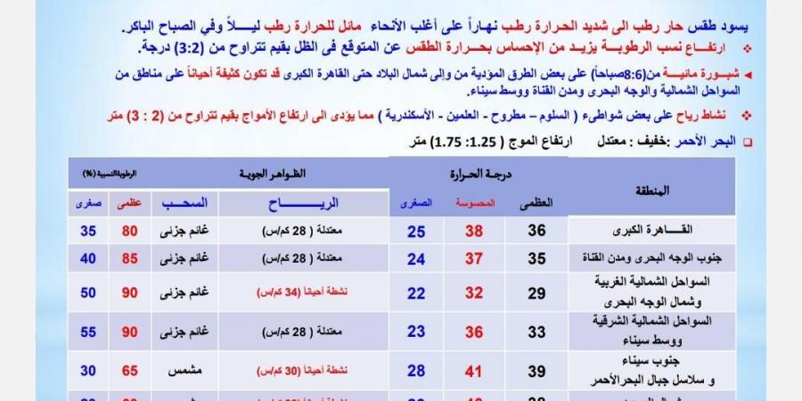 طقس شديد الحرارة ورطوبة مرتفعة غدًا الخميس 3 يوليو 2025.. وتحذيرات من الشبورة على الطرق - الكويت الاخباري