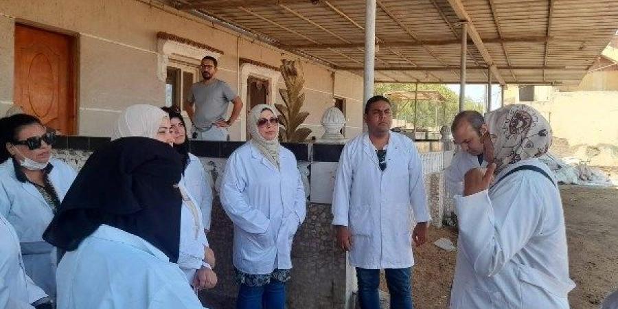 حملات تفتيشية على محال ومنافذ تداول اللحوم والدواجن بزهور بورسعيد - الكويت الاخباري