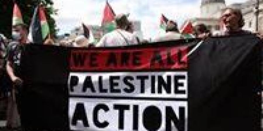 بعد تصنيفها منظمة إرهابية.. ما وراء حظر حركة Palestine Action في بريطانيا؟ - الكويت الاخباري