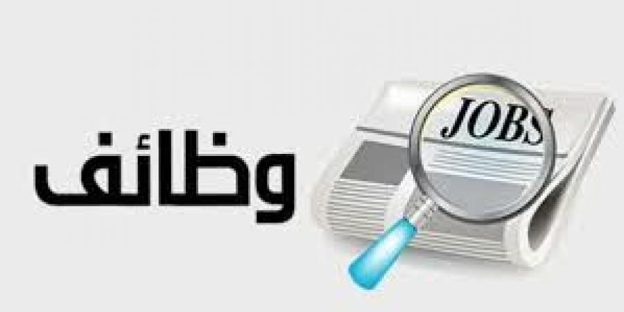 برواتب تصل إلى 13 ألف جنيه.. العمل تعلن عن وظائف جديدة في قطاع الكهرباء - الكويت الاخباري