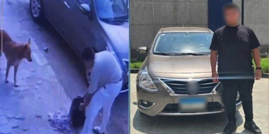 القبض على شخص تسبب في نفوق كلاب ضالة بالجيزة - الكويت الاخباري