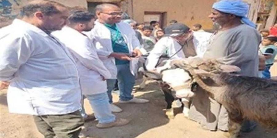 ”الزراعة” تطلق 214 قافلة بيطرية مجانية في 176 قرية خلال يونيو الماضي - الكويت الاخباري