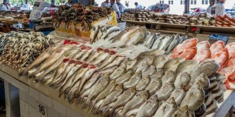 أسعار الأسماك والجمبري اليوم السبت 5 يوليو 2025.. البوري بـ 120 جنيهًا - الكويت الاخباري