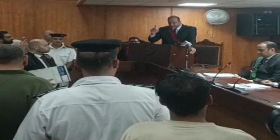 السجن 15 عامًا لـ سائق التريلا المتسببة في حادث الإقليمي بالمنوفية - الكويت الاخباري