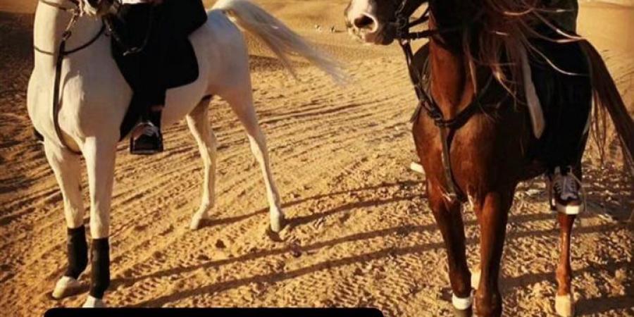 محمد سامي ومنة فضالي يدعمون أحمد السقا..ماذا قالوا ؟ - الكويت الاخباري
