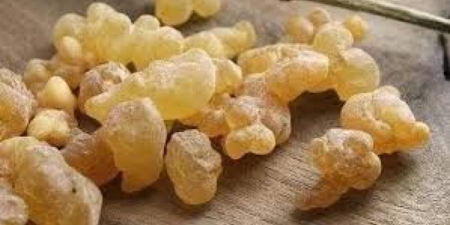 هل اللبان الذكر يعالج ضيق التنفس؟.. وما الحد المسموح يوميا؟ - الكويت الاخباري