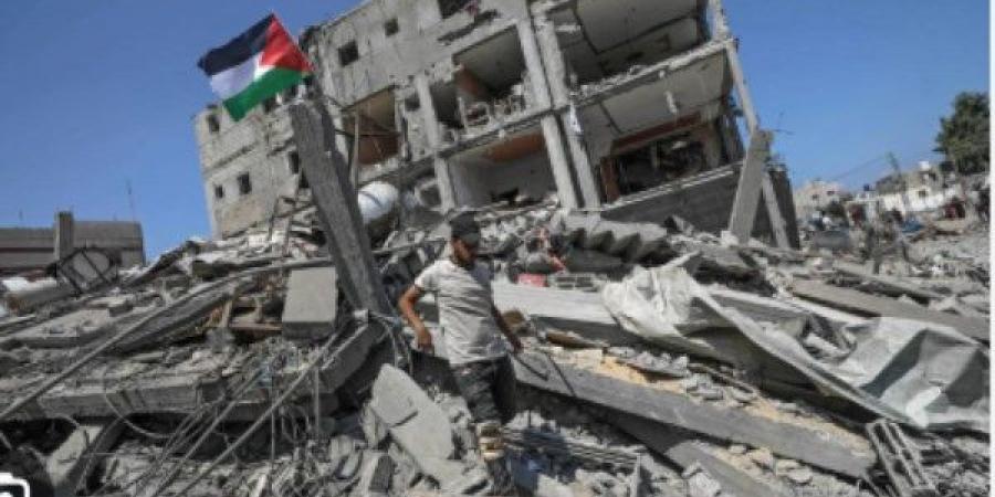 الدولي للصحفيين: مقتل 238 إعلاميا في غزة جريمة حرب - الكويت الاخباري