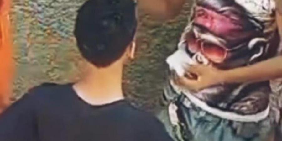 ضبط عاطل يروج للمخدرات عبر فيديو متداول في شبرا الخيمة - الكويت الاخباري