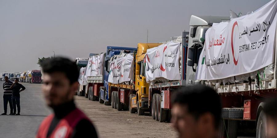 الهلال الأحمر المصري يدفع 2400 طن مساعدات غذائية وطبية في قافلة «زاد العزة» الـ 16 إلى غزة - الكويت الاخباري