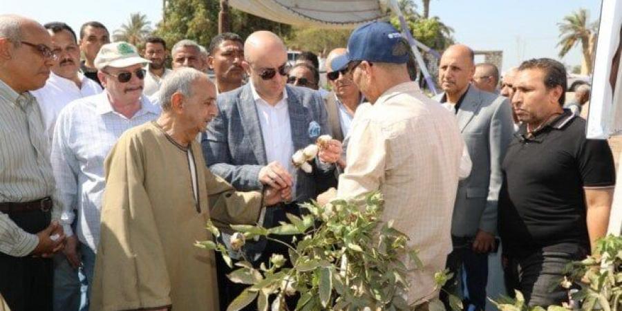 محافظ بني سويف يفتتح موسم جمع القطن من قرية النويرة - الكويت الاخباري