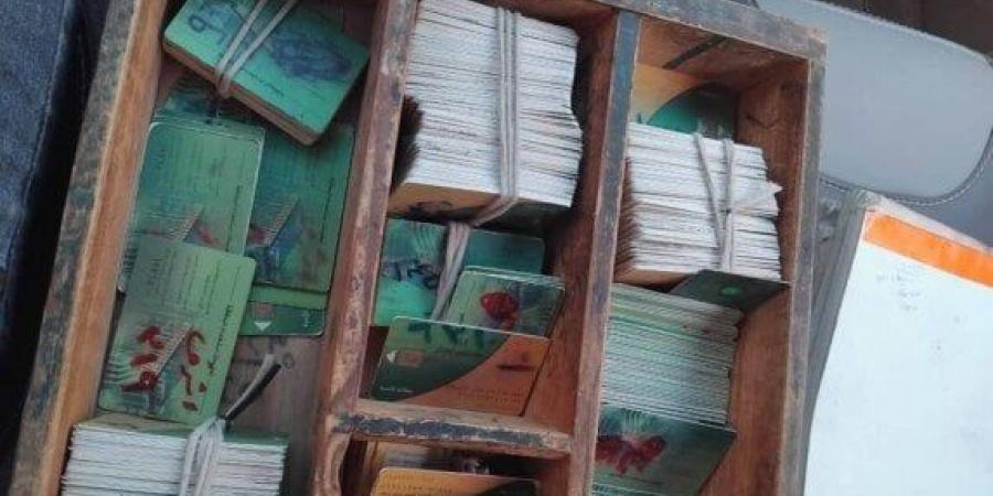 ​من الخبز للسلع الفاسدة.. ضبط 318 مخالفة تموينية في حملة بالمنيا - الكويت الاخباري