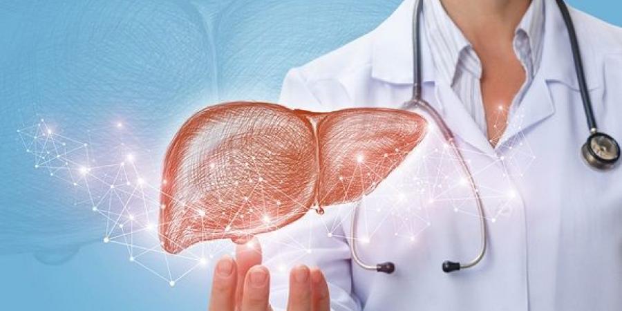 صحة الكبد بين الخرافات والحقائق الطبية - الكويت الاخباري