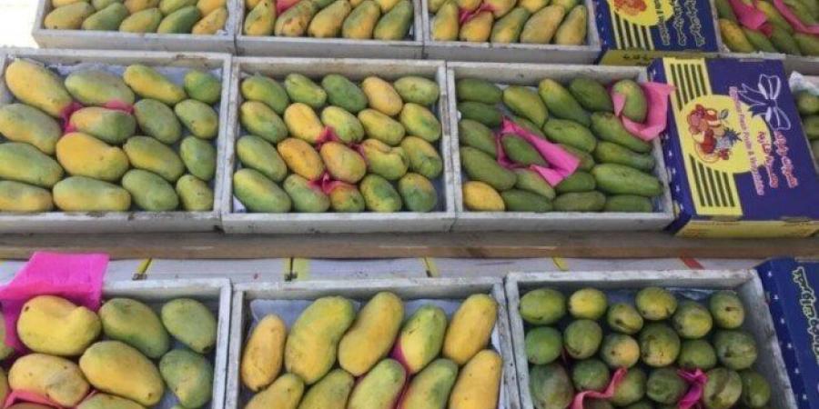 السكري بكام؟.. أسعار المانجو في سوق العبور اليوم الثلاثاء 19 أغسطس 2025 - الكويت الاخباري