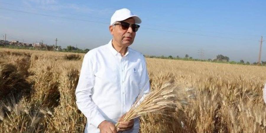 بعد تعاقد مصر على عدة شحنات.. ارتفاع أسعار القمح الفرنسي - الكويت الاخباري