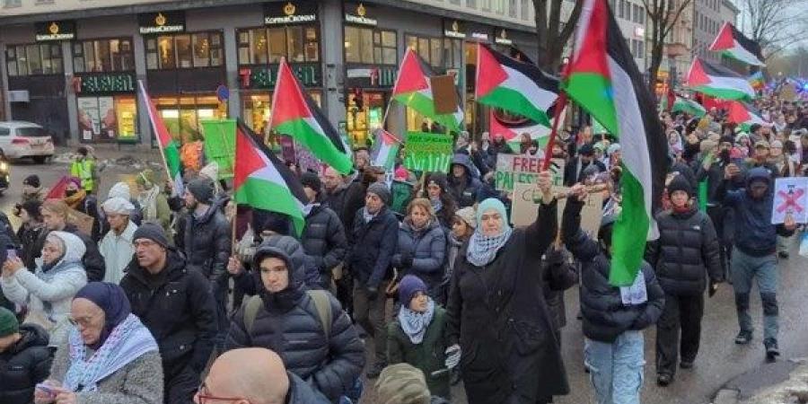 خبير: 60% من الأمريكيين يؤيدون فلسطين ويطالبون بوقف إطلاق النار - الكويت الاخباري