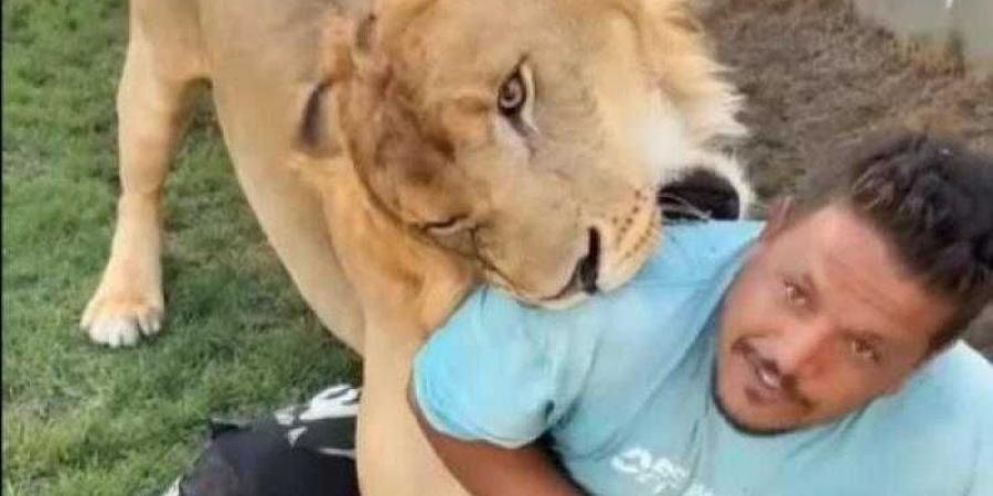 السلطات الليبية تلقي القبض على مواطن ليبي بتهمة ترويع عامل مصري باستخدام أسد - الكويت الاخباري