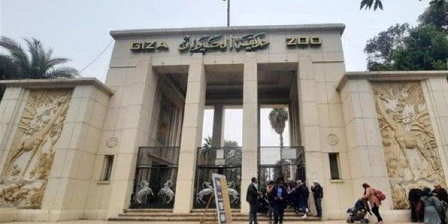 موعد افتتاح حديقة حيوان الجيزة 2025 وأسعار التذاكر.. من هي الفئات المعفية؟ - الكويت الاخباري