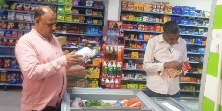 تحرير 380 محضرا متنوعا في مجال المخابز البلدية والأسواق بأسوان - الكويت الاخباري