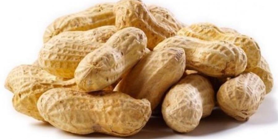 الفول السوداني سر جديد لإبطاء الشيخوخة وحماية الخلايا - الكويت الاخباري