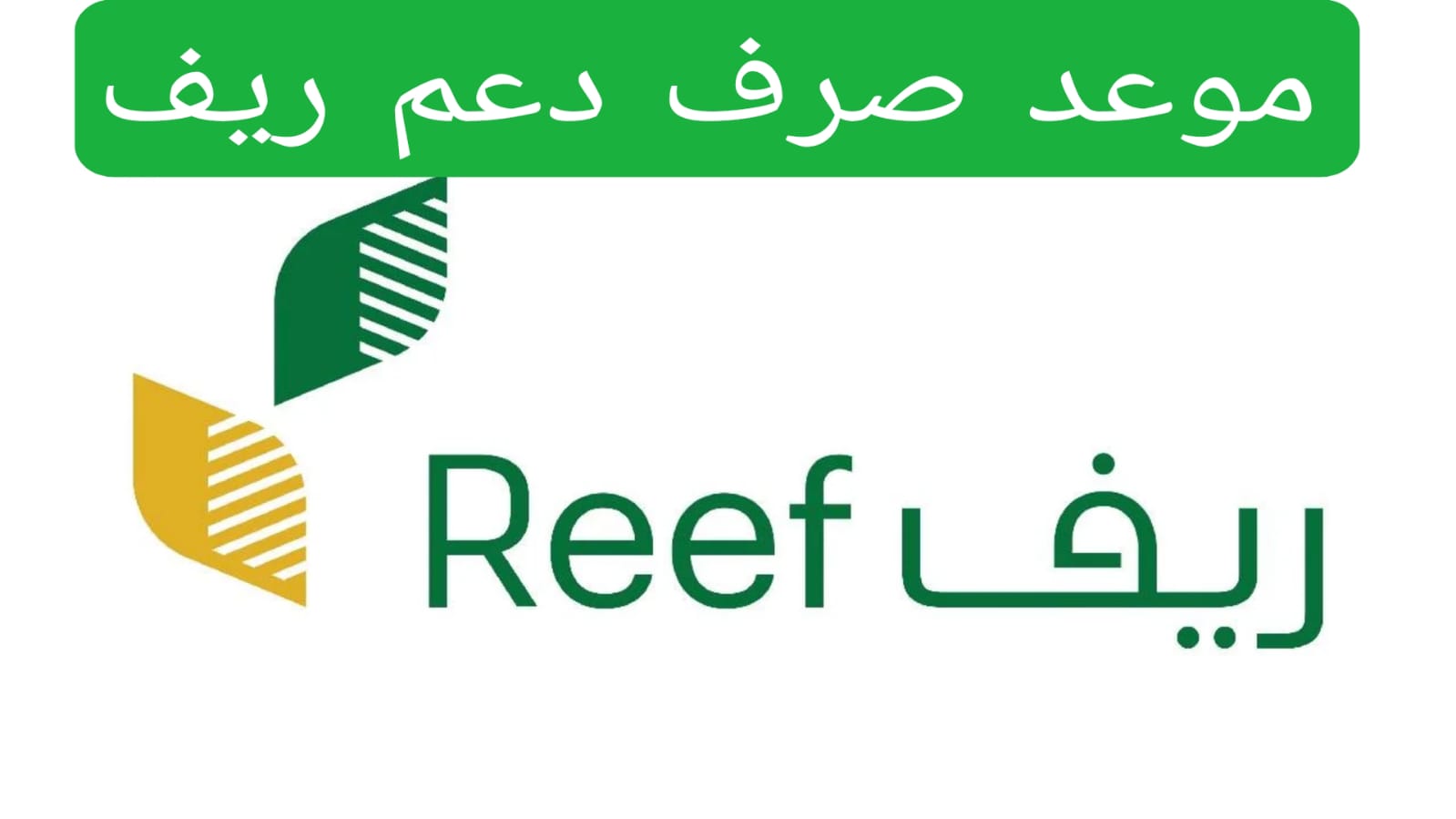 خطوات التسجيل وشروط برنامج الدعم الريفي السعودي وكيفية الاستفادة من الدعم الزراعي لعام 2024