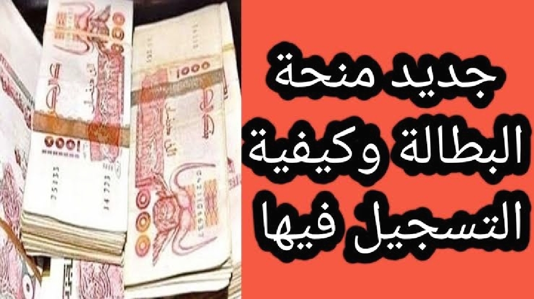 الحصول على إعانات البطالة الجزائرية 2024 التسجيل وأهم الشروط والأوراق المطلوبة