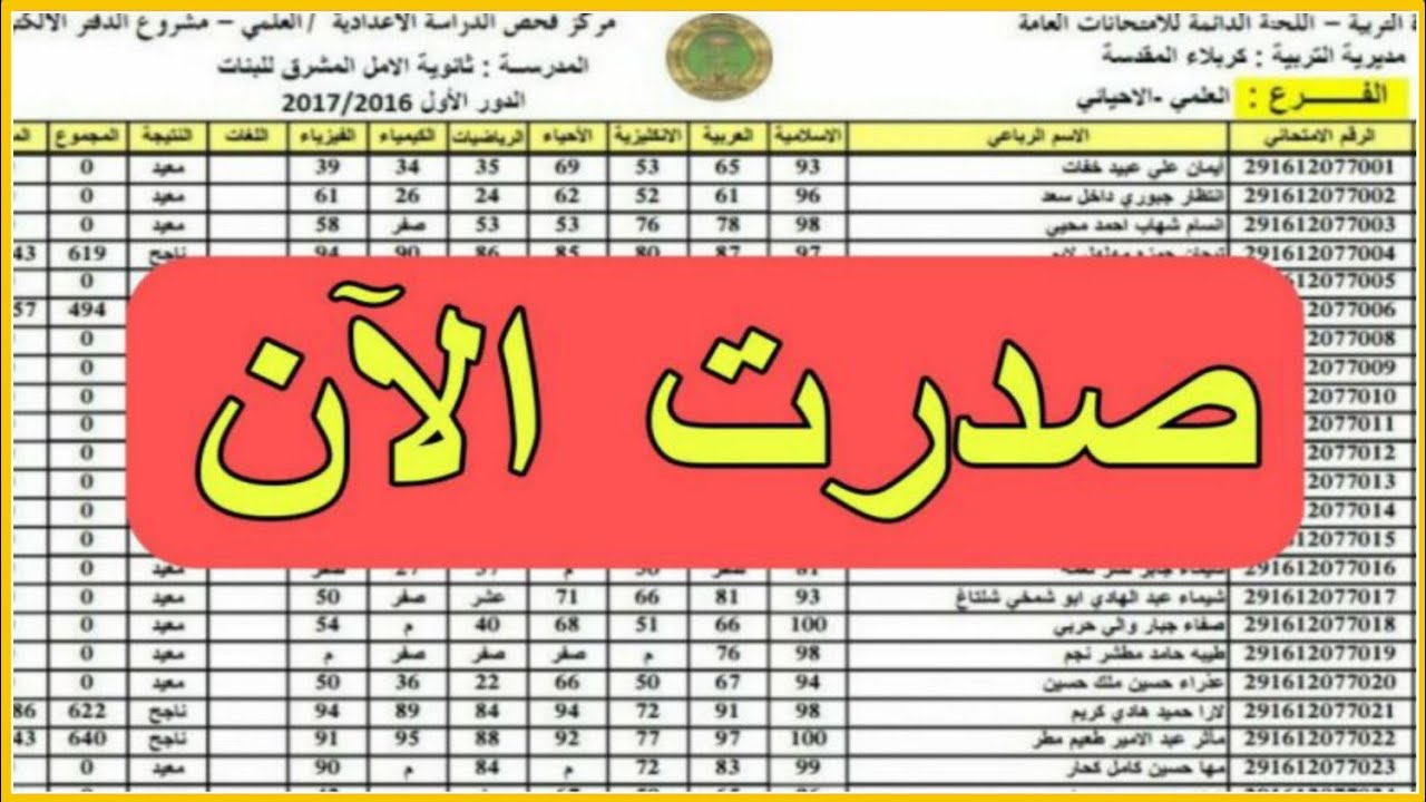 استعلم إلكترونيا :نتائج السادس الإعدادي 2024 الدور الثاني “ظهرت نتيجة فرع المهنى”