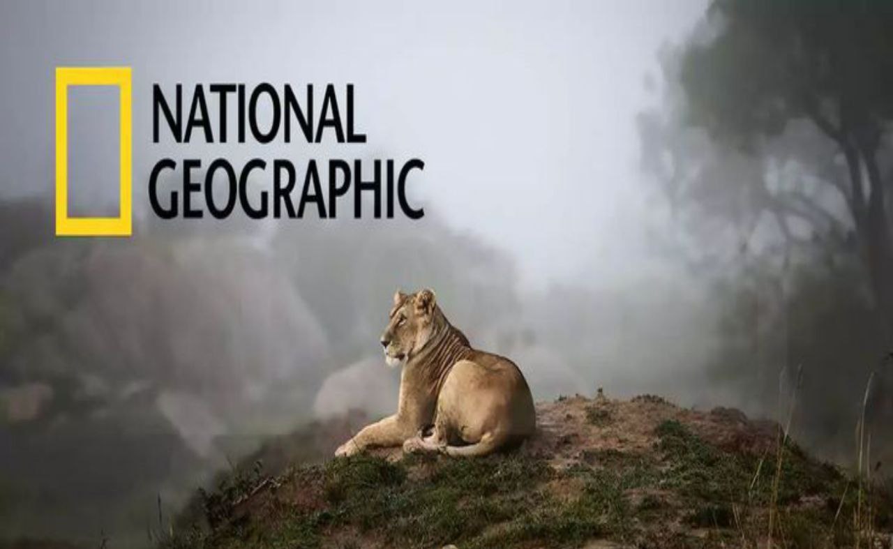 “شوف التونة العنيدة”.. تردد قناة ناشيونال جيوغرافيك الجديد 2024 National Geographic لمتابعة عالم الحيوان والافلام الوثائقية