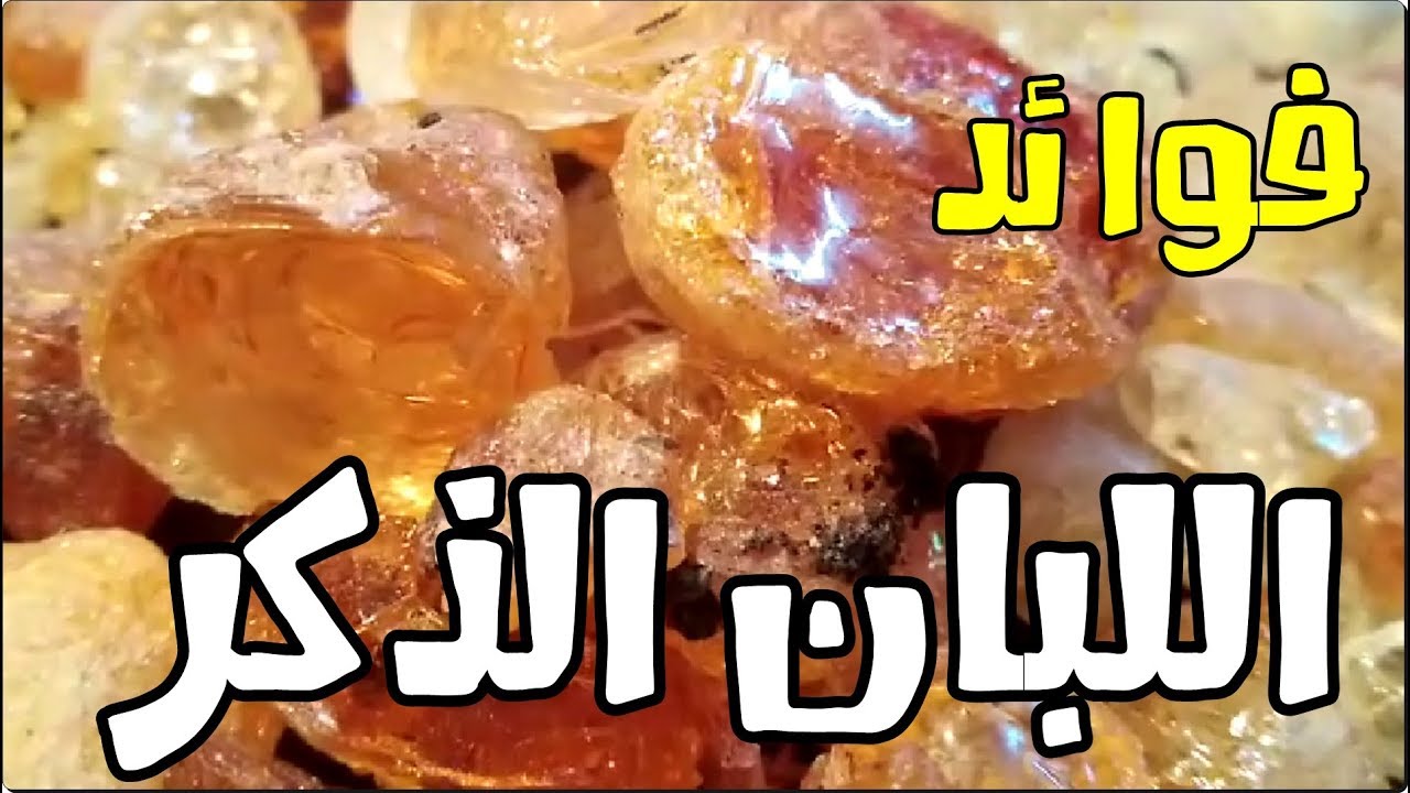 فوائد لبان الذكر على الريق كل ليلة فهذا ما يفعله بجسمك النتيجة ستفاجئك