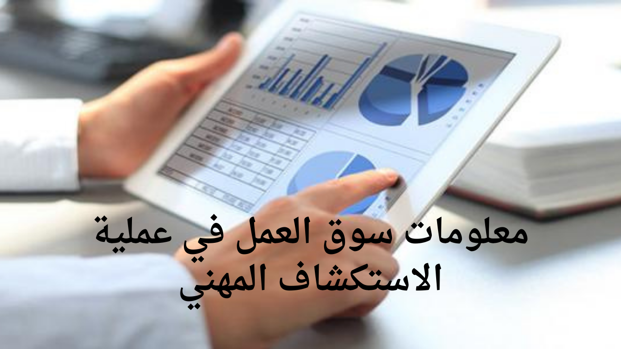 معلومات سوق العمل في عملية الاستكشاف المهني