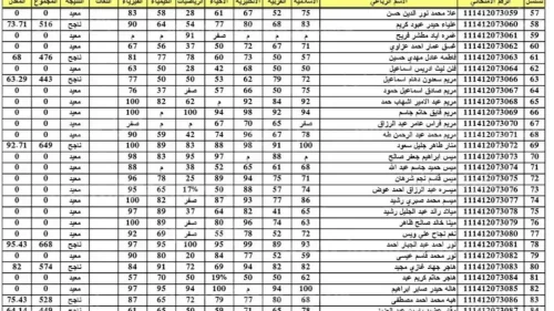 الان pdf.. لينك نتائج السادس الاعدادي محافظات العراق 2024 الدور الثاني