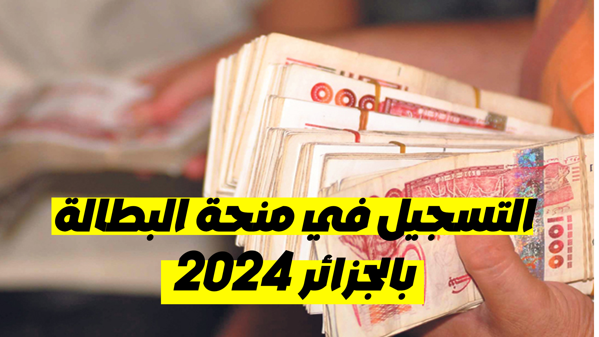 التسجيل في منحة البطالة بالجزائر عبر الإنترنت 2024.. وما هي شروط التسجيل في موقع anem.dz