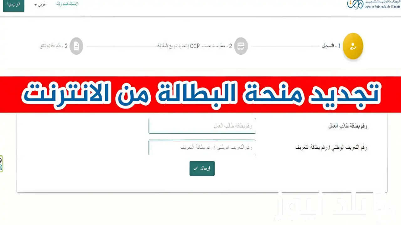 بالخطوات.. كيفية تجديد منحة البطالة 2024 عبر الوكالة الوطنية للتشغيل