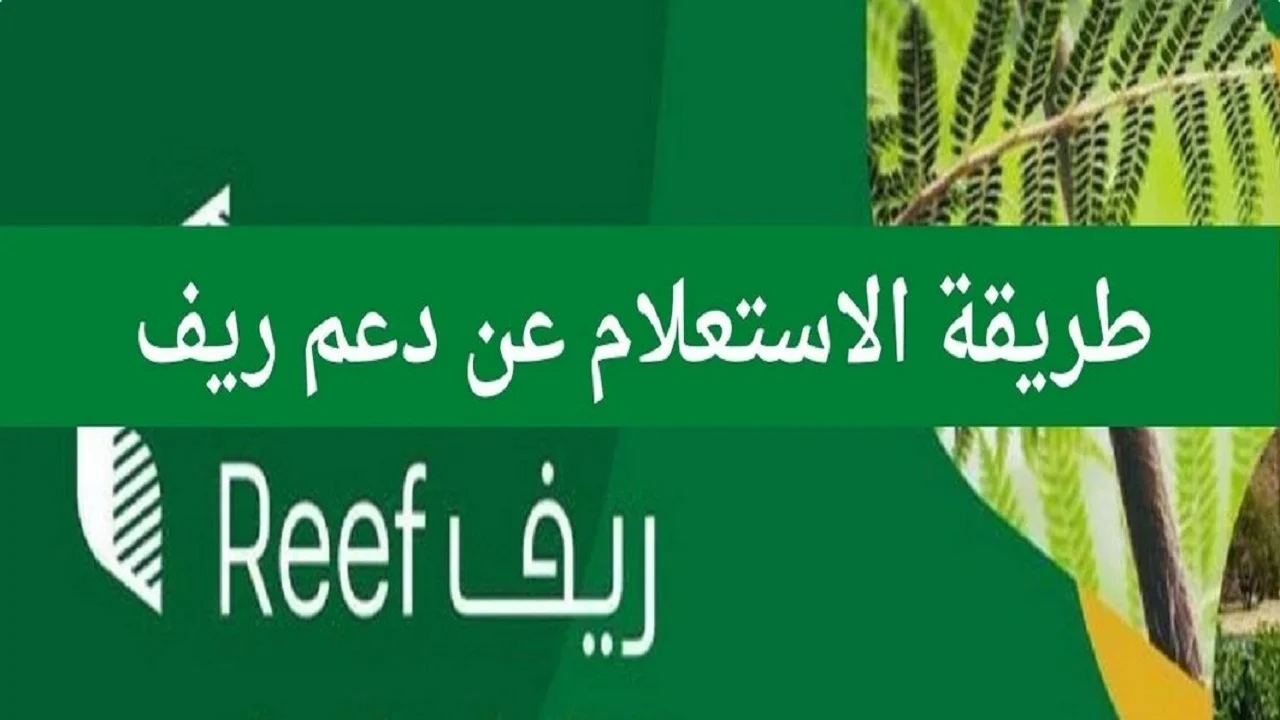 شروط الحصول على دعم ريف لربات البيوت 1446 والمستندات المطلوبة