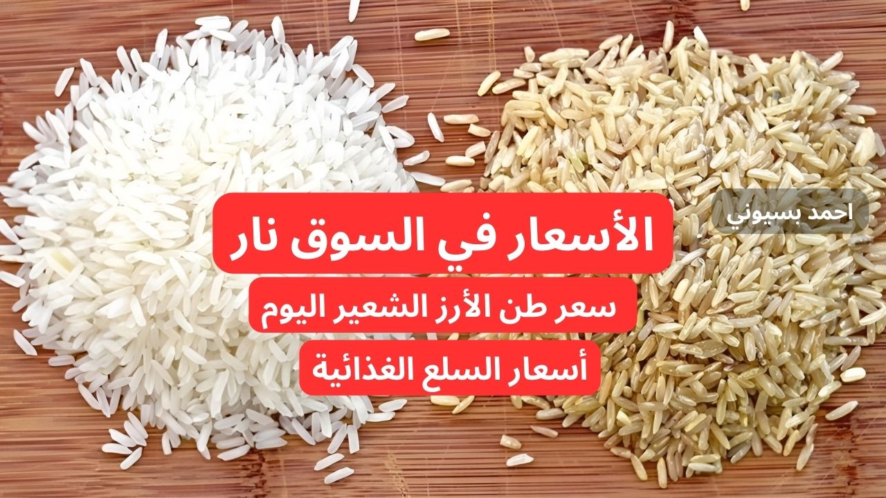 بكام العريض والرفيع؟.. سعر طن الأرز الشعير اليوم الخميس 3 أكتوبر 2024.. أسعار السلع الغذائية