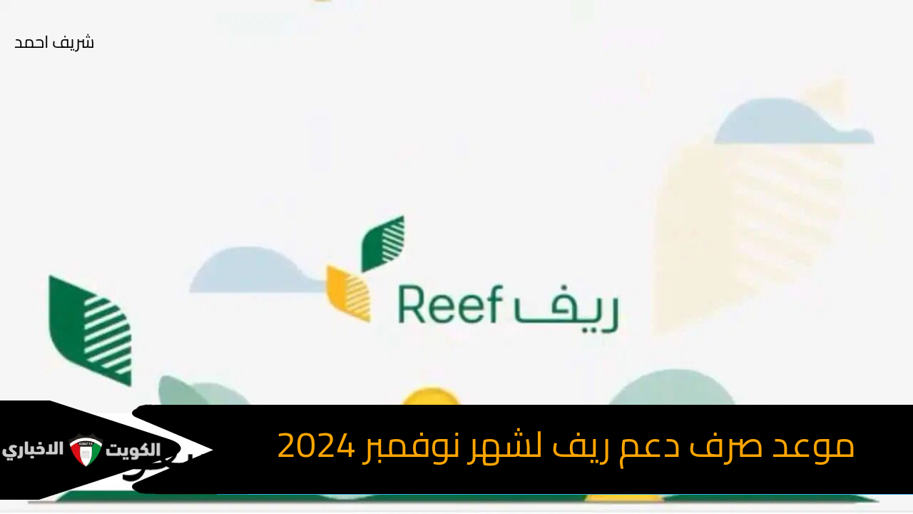 موعد صرف دعم ريف لشهر نوفمبر 2024 والرابط المخصص للتسجيل