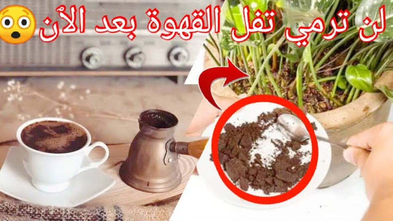 يارتني عرفت من زمان ماذا يحدث عند وضع القهوة في الثلاجة ؟.. حيلة هتوفر عليكي كتير