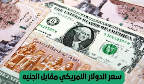 سعر الدولار اليوم في البنوك المصرية