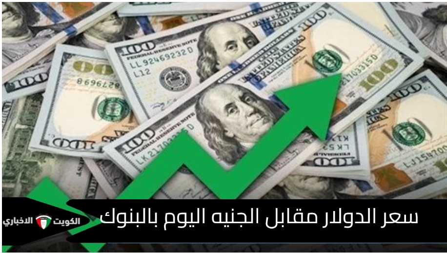 سعر الدولار مقابل الجنيه اليوم بالبنوك المصرية ما بين الارتفاع والانخفاض